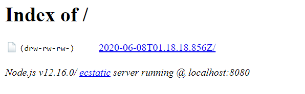 Índice de directorios sobre el cual se ha ejecutado el servidor. Contiene una carpeta por ejecución con el nombre respectivo al tiempo en que se ejecutó